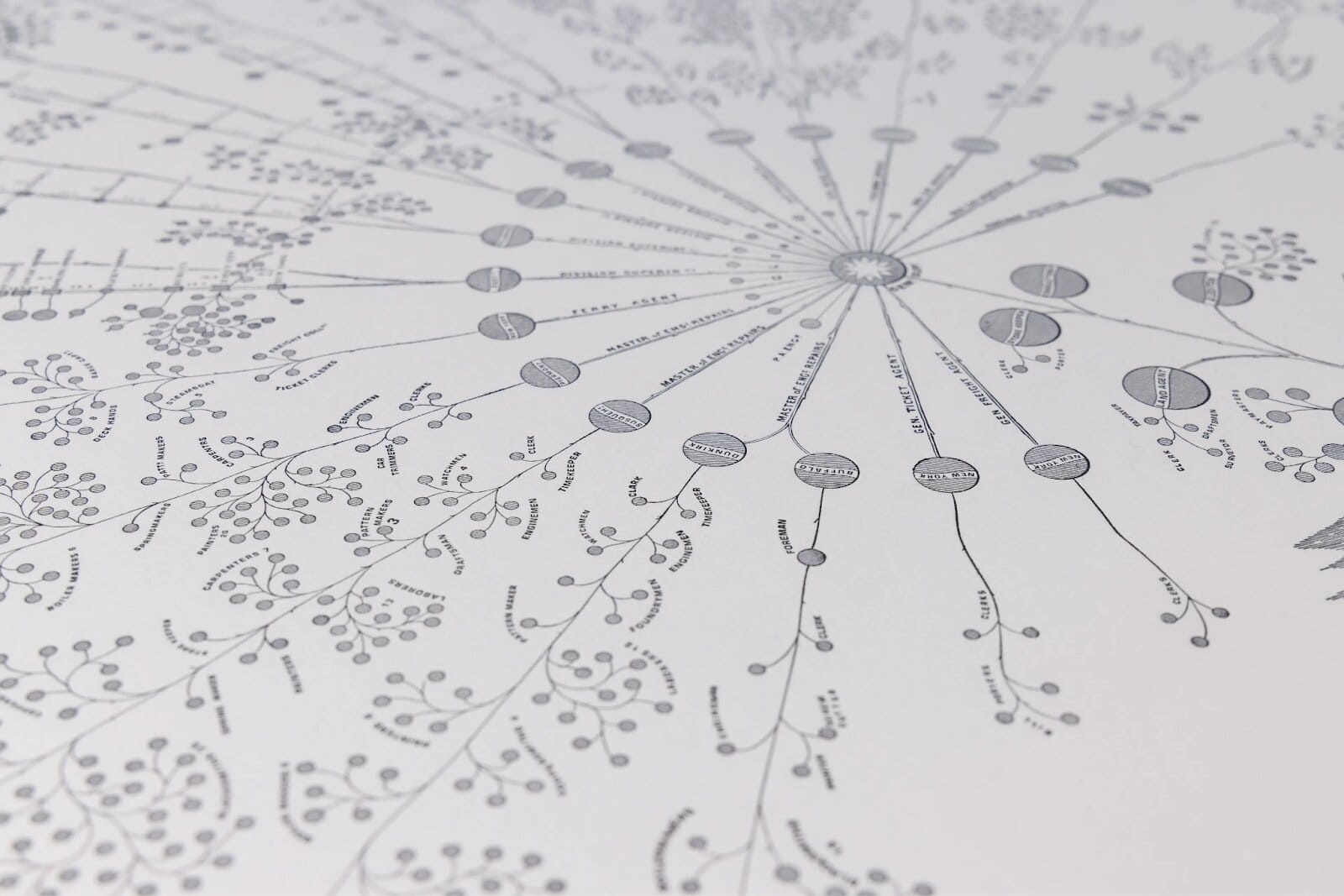 Illusration of a network by Rachel Botsman.